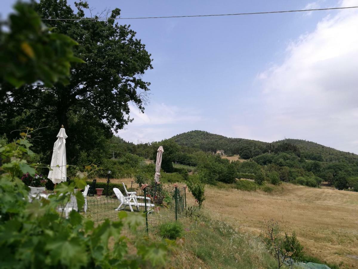 Апартаменти I Castagnini Монтекатіні-Валь-ді-Чечина Екстер'єр фото